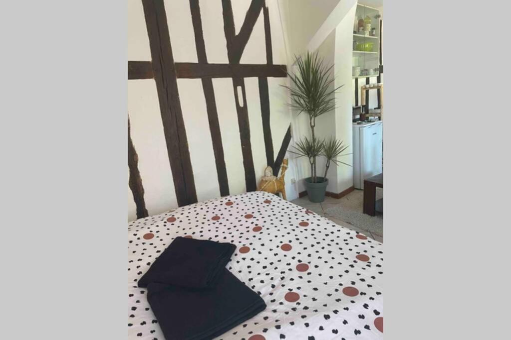 Apartmán Joli Petit Studio En Plein Coeur Centre Ville Méru Exteriér fotografie